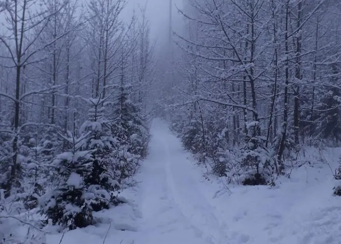 Haus Bernkogelblick In By Interhome Goldegg
